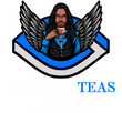 MentaliTeas LLC