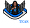 MentaliTeas LLC